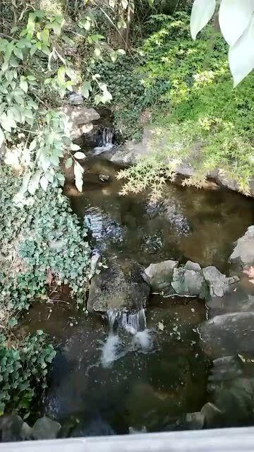 香蜜沉沉烬如霜装扮